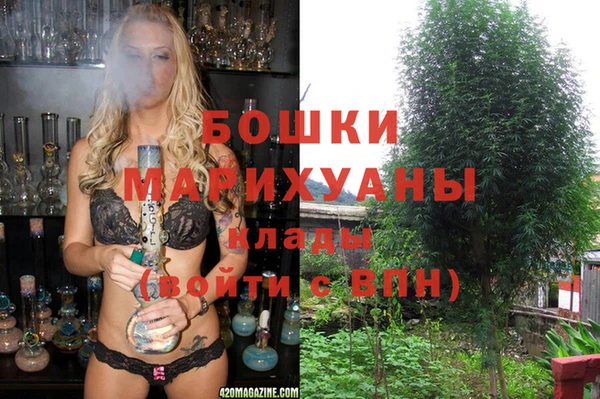 дживик Липки