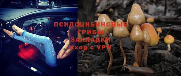 прущая мука Лагань