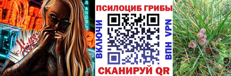 ссылка на мегу   Муром  Галлюциногенные грибы прущие грибы 