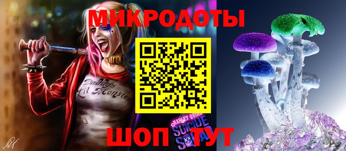 Псилоцибиновые грибы Cubensis Муром