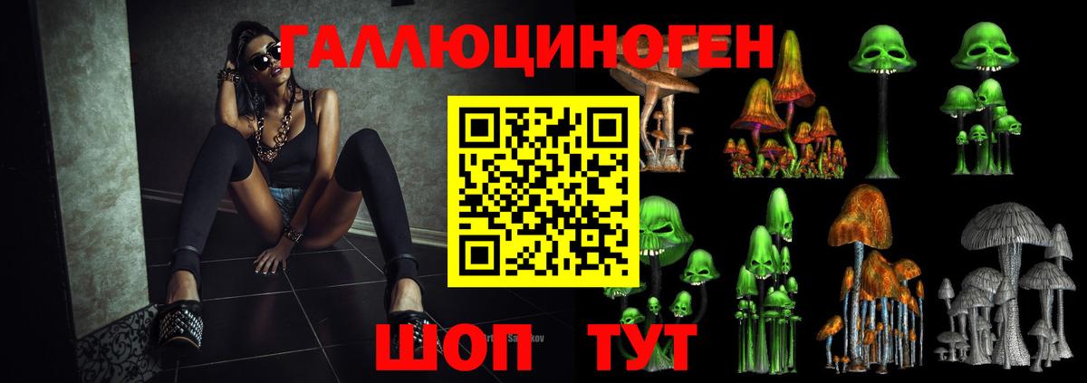 Галлюциногенные грибы Psilocybe  Галлюциногенные грибы Psilocybine cubensis  Вход с VPN  Муром 